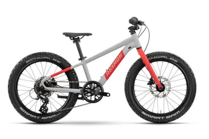 Raymon - YANGA 20&quot; pro